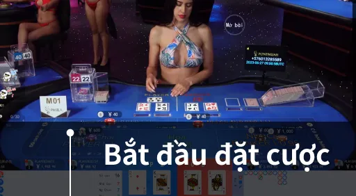 live casino