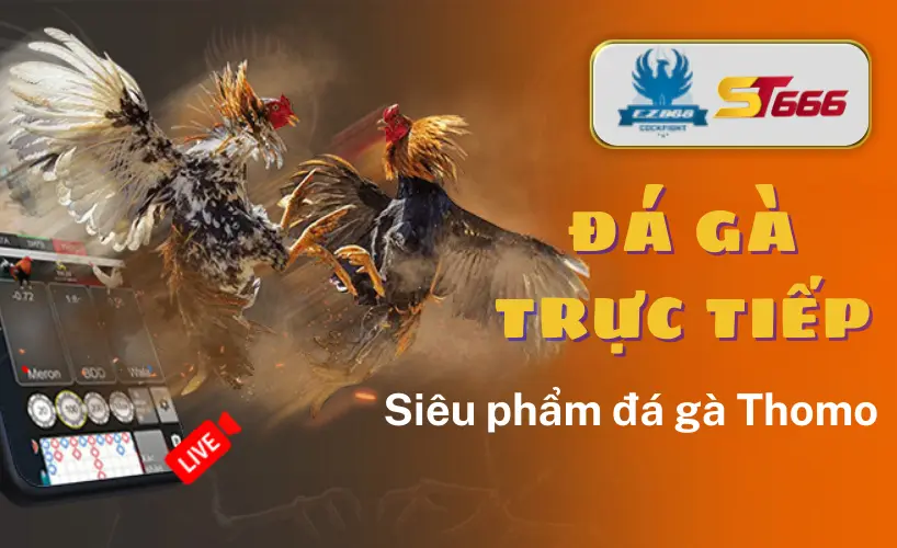 đá gà trực tiếp