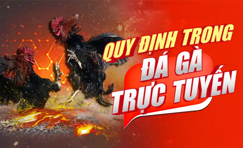 Quy định đá gà trực tuyến